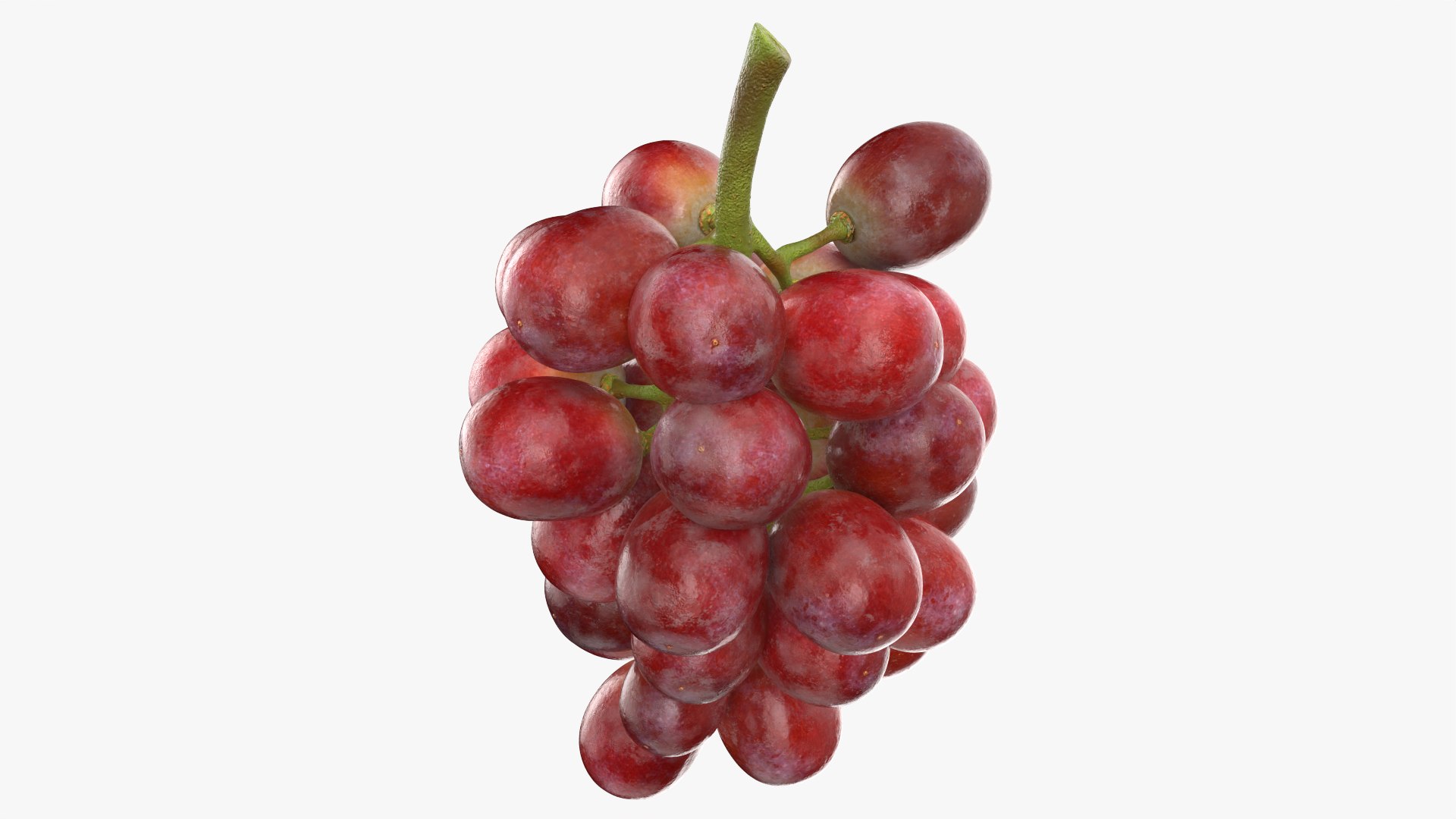 Bunch Grapes 04 3D model https://p.turbosquid.com/ts-thumb/zd/xu05rY/rT/grapes04_0009/png/1777754415/1920x1080/fit_q87/3c8b038e34be51b8c8c88c99d5183bfa4355b9ab/grapes04_0009.jpg