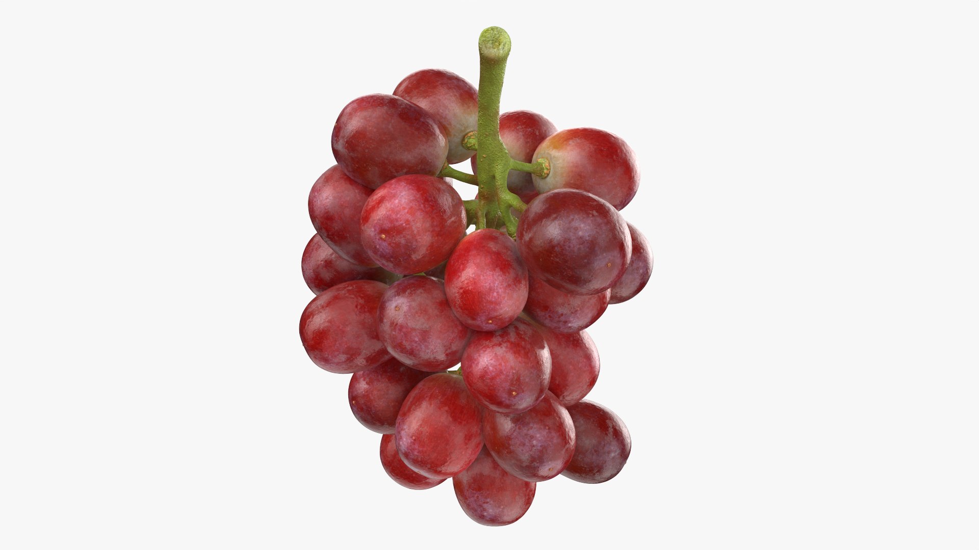 Bunch Grapes 04 3D model https://p.turbosquid.com/ts-thumb/zd/xu05rY/v0/grapes04_0002/png/1777754402/1920x1080/fit_q87/900eef4d9f8946a7543d412799e3aa7bbf8f44d2/grapes04_0002.jpg