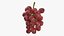 Racimo de uvas 04