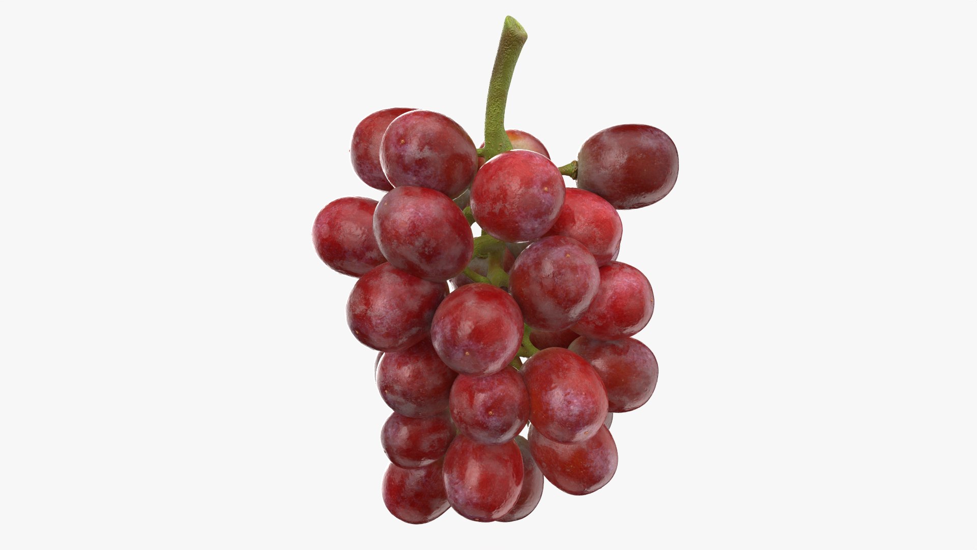 Bunch Grapes 04 3D model https://p.turbosquid.com/ts-thumb/zd/xu05rY/yL/grapes04_0006/png/1777754408/1920x1080/fit_q87/eb54cefa9021021d5708207dcdc25dd4d765c590/grapes04_0006.jpg