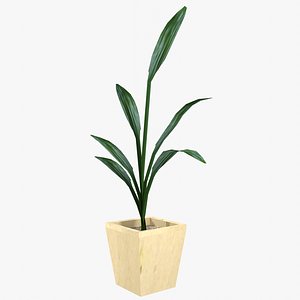 3D IndoorPlant1 model