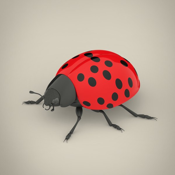 3D ladybird modeled