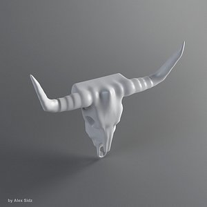 Decorative Cow Skull