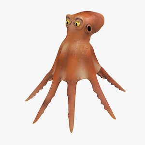 sea animal octopus cartoon 3D model
