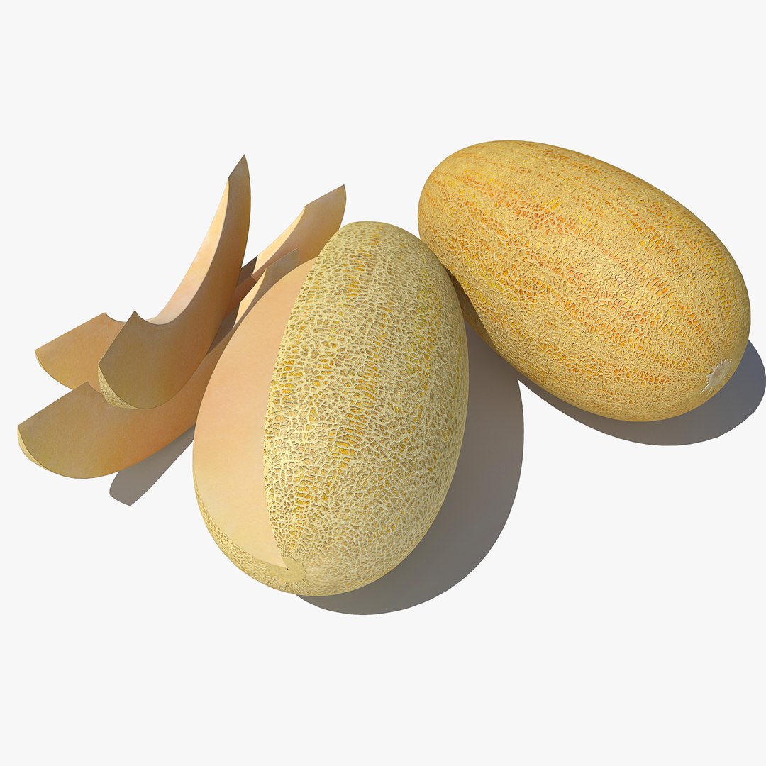 v-ray model https://p.turbosquid.com/ts-thumb/ze/nUGnyG/3eZSyO0m/melon0020/jpg/1554764141/1920x1080/fit_q87/8c1338f995696396a19f6983a98d55b0c9c16aac/melon0020.jpg