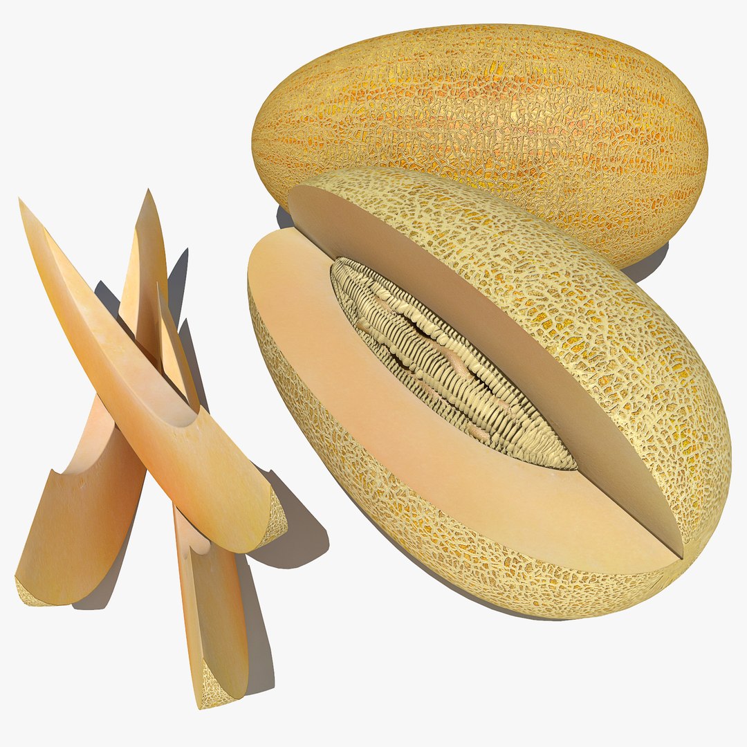 v-ray model https://p.turbosquid.com/ts-thumb/ze/nUGnyG/4SiWo31Q/melon0025/jpg/1554764156/1920x1080/fit_q87/b6e30ba85d6415b0b14bf04f5c8d9cd8047ed073/melon0025.jpg