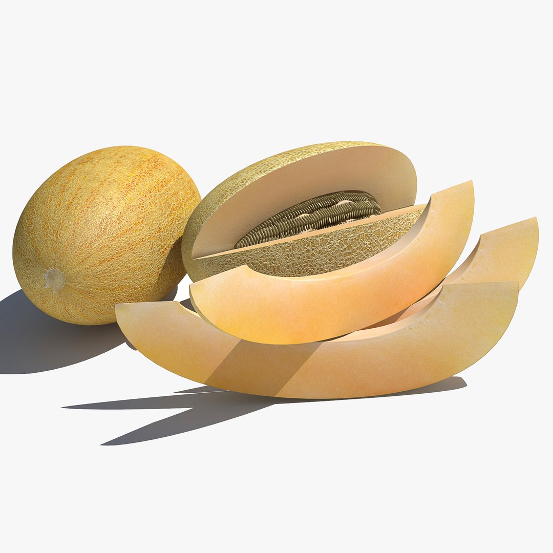 v-ray model https://p.turbosquid.com/ts-thumb/ze/nUGnyG/baCmRSph/melon0035/jpg/1554764205/1920x1080/fit_q87/a60245392379e6f553b428c4868be9e0a714519d/melon0035.jpg