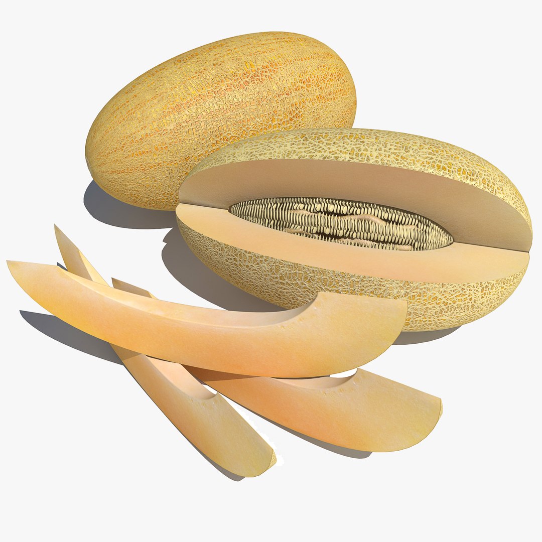 v-ray model https://p.turbosquid.com/ts-thumb/ze/nUGnyG/ik54FJ1M/melon0030/jpg/1554764195/1920x1080/fit_q87/59178af1e6cca8d3a9b7a296a8cfc8061446223c/melon0030.jpg