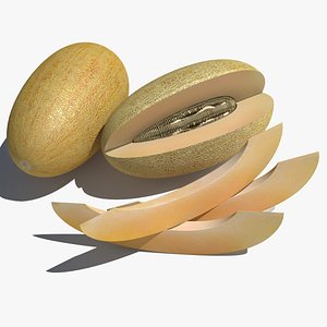 v-ray model