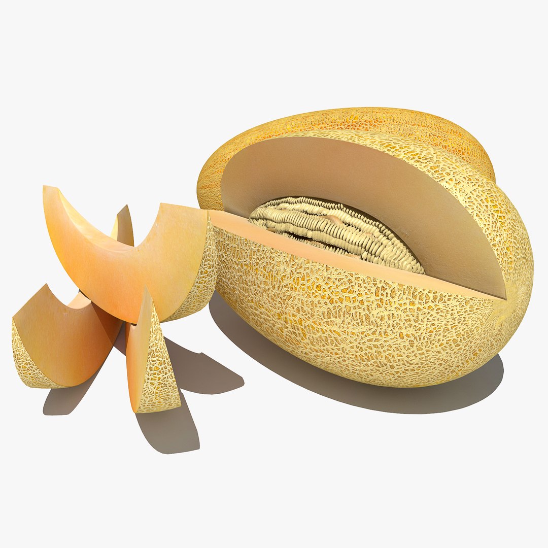 v-ray model https://p.turbosquid.com/ts-thumb/ze/nUGnyG/lVq9uDm0/melon0050/jpg/1554764252/1920x1080/fit_q87/b8fcc29533443c7a65ee335aa5957a6b2ef313d6/melon0050.jpg