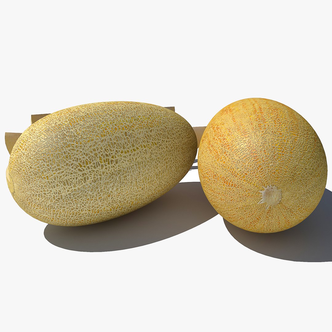 v-ray model https://p.turbosquid.com/ts-thumb/ze/nUGnyG/uccDLGRX/melon0045/jpg/1554764236/1920x1080/fit_q87/50f0a8d30310d726e648c4194b4414da4f581a27/melon0045.jpg