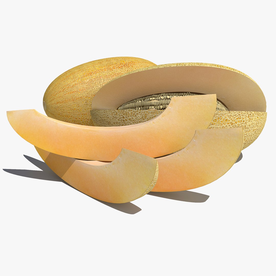 v-ray model https://p.turbosquid.com/ts-thumb/ze/nUGnyG/uw3DfteE/melon0055/jpg/1554764268/1920x1080/fit_q87/b0b9f7063e8095808cfd61e3604a4c9d5fff8188/melon0055.jpg