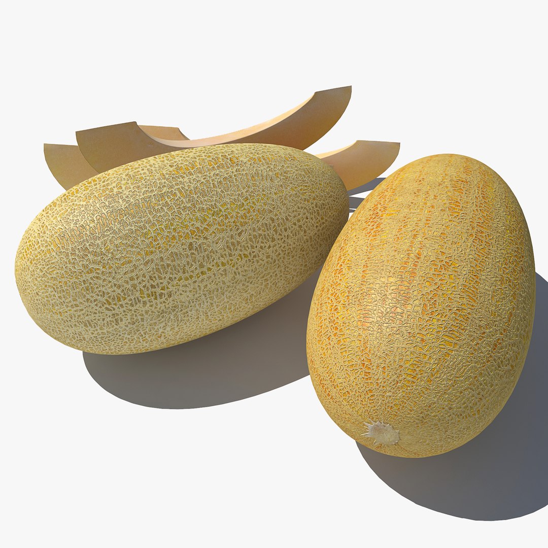 v-ray model https://p.turbosquid.com/ts-thumb/ze/nUGnyG/xUBC0KwN/melon0015/jpg/1554764127/1920x1080/fit_q87/934cf6aeee6cc01ff68ba7615959a9ebf0ef154e/melon0015.jpg