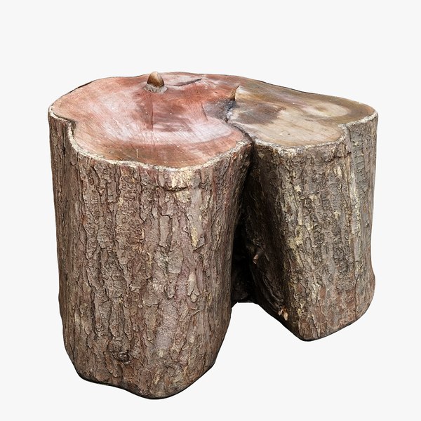 treestump11_01.jpg