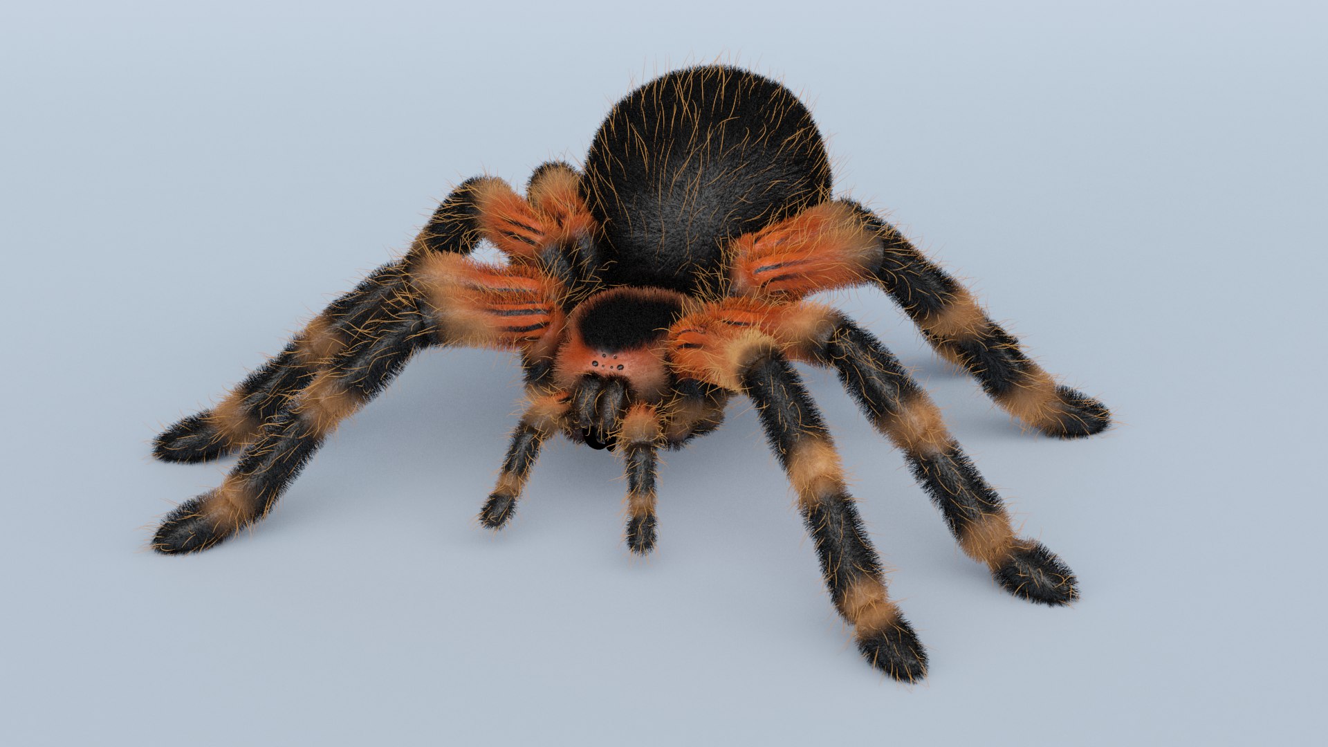 Obj Spider