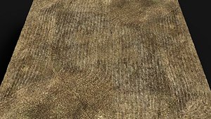 terrain ground grass bushes patch pt10 PBR photogrammetry model