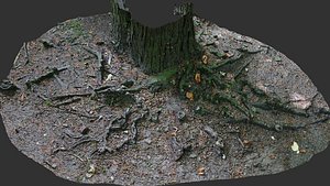 asphalt damaged road tree roots part4 photogrammetry