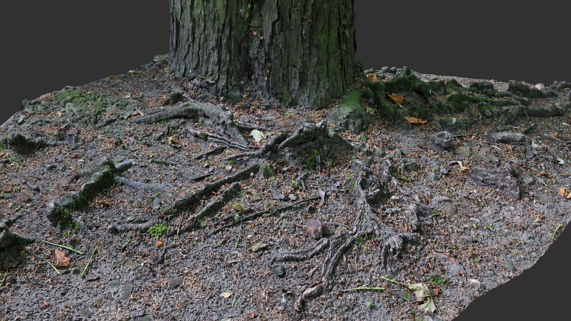 3D asphalt damaged road tree roots part4 photogrammetry FREE model https://p.turbosquid.com/ts-thumb/zf/Dlj8W7/Fu/preview3/jpg/1736694083/1920x1080/fit_q87/03bf4ae2abbd6bb06203dc1b467b02aa4efa4607/preview3.jpg