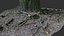 asphalt damaged road tree roots part4 photogrammetry