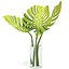 Flower Pack 248c