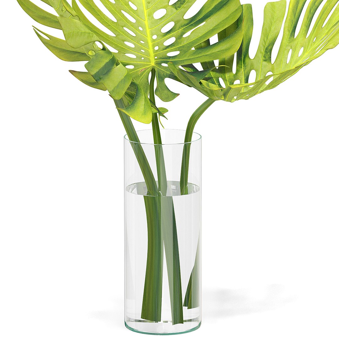 Flower Pack 248c 3D https://p.turbosquid.com/ts-thumb/zf/K5wtS6/RX/lankaart00043/jpg/1661344228/1920x1080/fit_q87/54cb9dd9af49e082191d175ffa914aaba124566f/lankaart00043.jpg