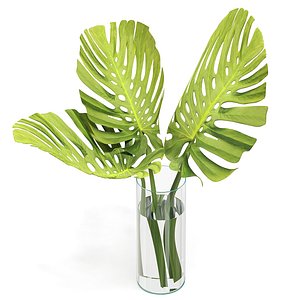 Flower Pack 248c 3D