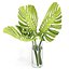 Flower Pack 248c