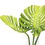 Flower Pack 248c