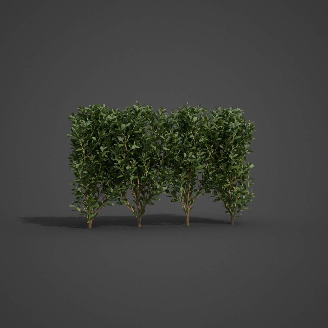3D 2021 pbr landscaping library https://p.turbosquid.com/ts-thumb/zf/hnpxt1/0b/ls16_07/png/1613178173/1920x1080/fit_q87/93dcbcde190926d9015b28bef5e414f5c6615400/ls16_07.jpg