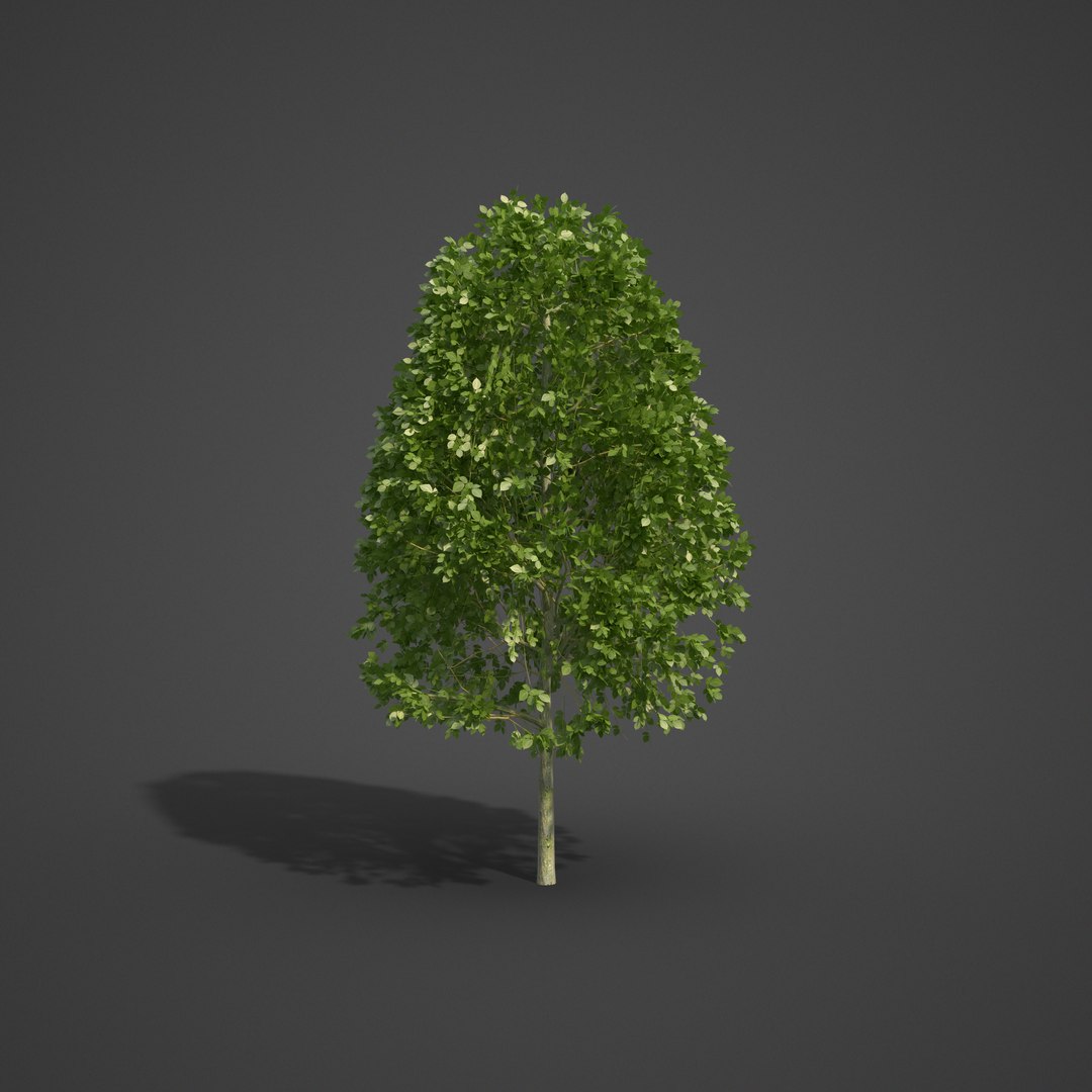 3D 2021 pbr landscaping library https://p.turbosquid.com/ts-thumb/zf/hnpxt1/0x/ls06_05/png/1613178099/1920x1080/fit_q87/341d1b883d8ba29932715ccaac10390480302ca9/ls06_05.jpg