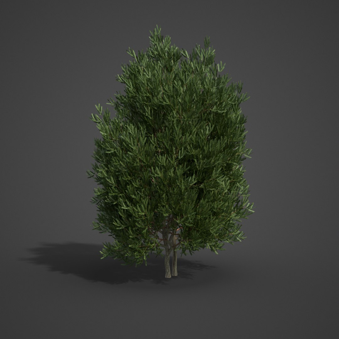3D 2021 pbr landscaping library https://p.turbosquid.com/ts-thumb/zf/hnpxt1/7v/ls17_07/png/1613178181/1920x1080/fit_q87/3f957db591aefb1ab8ca1f347d3916db3c4b915b/ls17_07.jpg