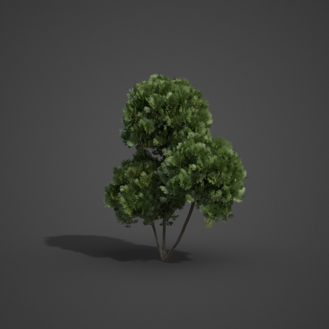 3D 2021 pbr landscaping library https://p.turbosquid.com/ts-thumb/zf/hnpxt1/Cx/ls19_02/png/1613178199/1920x1080/fit_q87/685c76cfbcd5fda71014e295c282f2fd3839a669/ls19_02.jpg