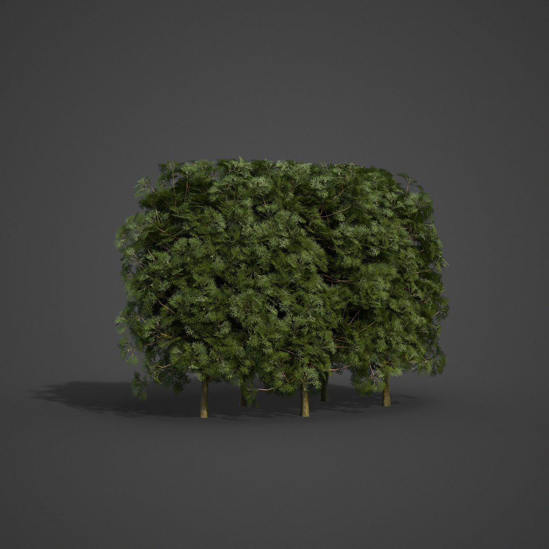 3D 2021 pbr landscaping library https://p.turbosquid.com/ts-thumb/zf/hnpxt1/E7/ls08_07/png/1613178111/1920x1080/fit_q87/a8058e9a0b879fd460d4f986f417c0a65216d5ed/ls08_07.jpg