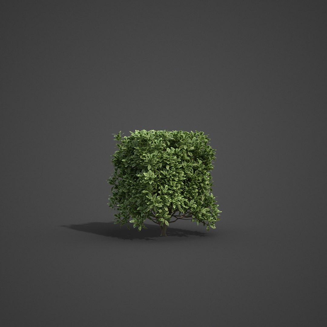 3D 2021 pbr landscaping library https://p.turbosquid.com/ts-thumb/zf/hnpxt1/Qu/ls13_04/png/1613178164/1920x1080/fit_q87/9eac20626ad69243fec0b75d5f20da2a53cb9024/ls13_04.jpg