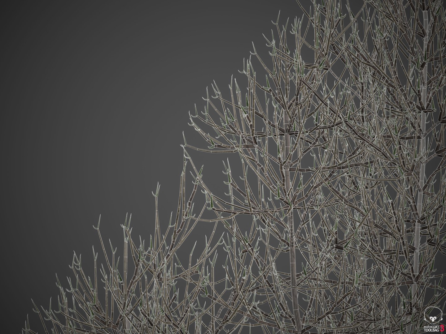 3D 2021 pbr landscaping library https://p.turbosquid.com/ts-thumb/zf/hnpxt1/Wg/wireframe3/jpg/1613178389/1920x1080/fit_q87/a8411f52f67882cb0cb28011cc4d7c63beaf4709/wireframe3.jpg