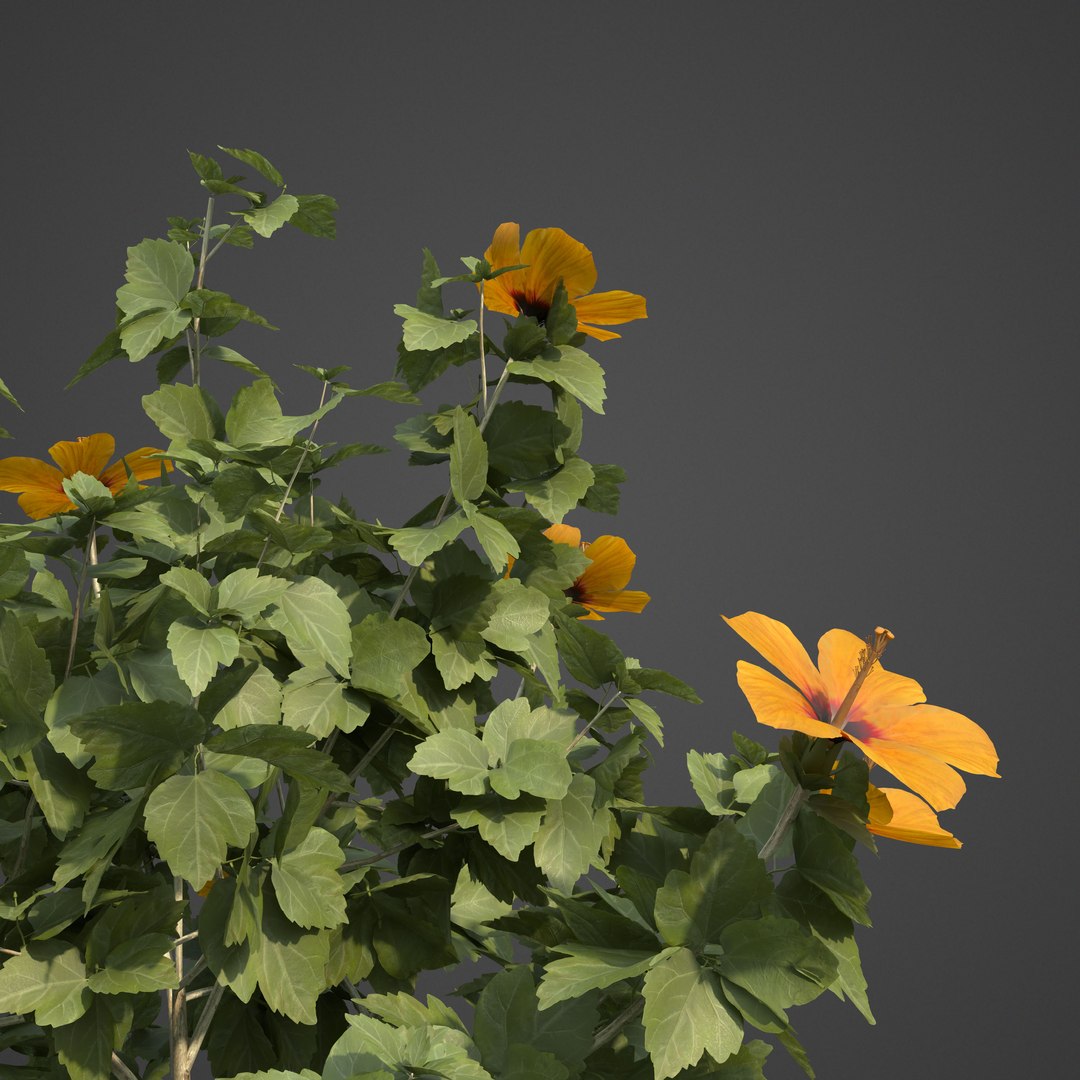 3D 2021 pbr landscaping library https://p.turbosquid.com/ts-thumb/zf/hnpxt1/ae/ls11_frontlit/jpg/1613178146/1920x1080/fit_q87/ecd9f1d15d51d16898ab615002cde1e0886f10e1/ls11_frontlit.jpg