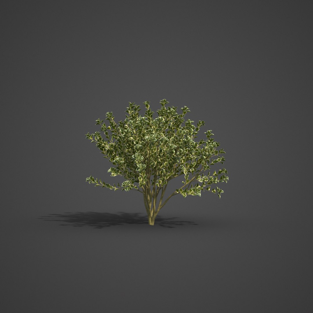 3D 2021 pbr landscaping library https://p.turbosquid.com/ts-thumb/zf/hnpxt1/df/ls10_01/png/1613178131/1920x1080/fit_q87/1209bc06bfeebb693e27c7a80b65a56d049c7c4c/ls10_01.jpg