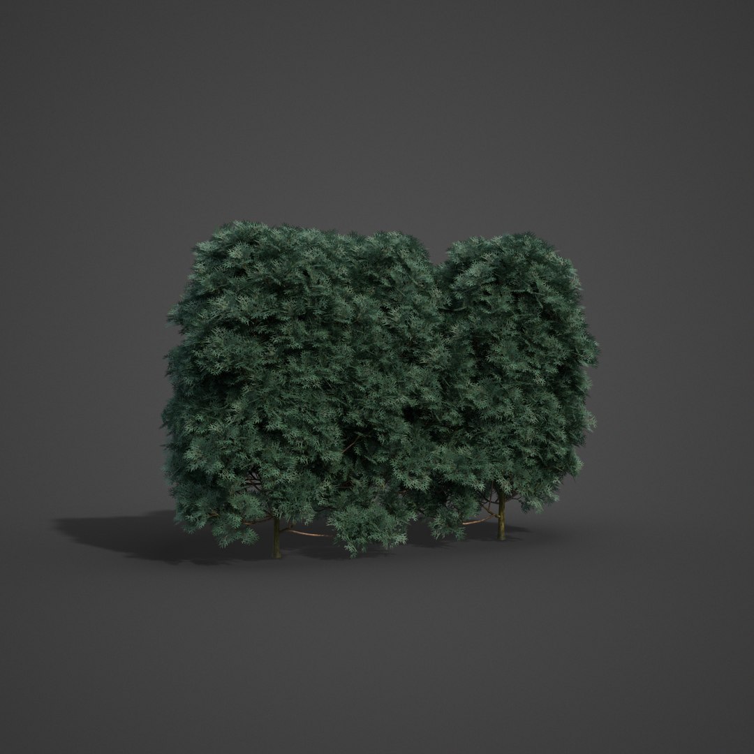 3D 2021 pbr landscaping library https://p.turbosquid.com/ts-thumb/zf/hnpxt1/eL/ls09_03/png/1613178121/1920x1080/fit_q87/fcfa08be95980187cd2a96ff08f1c19981aff74d/ls09_03.jpg