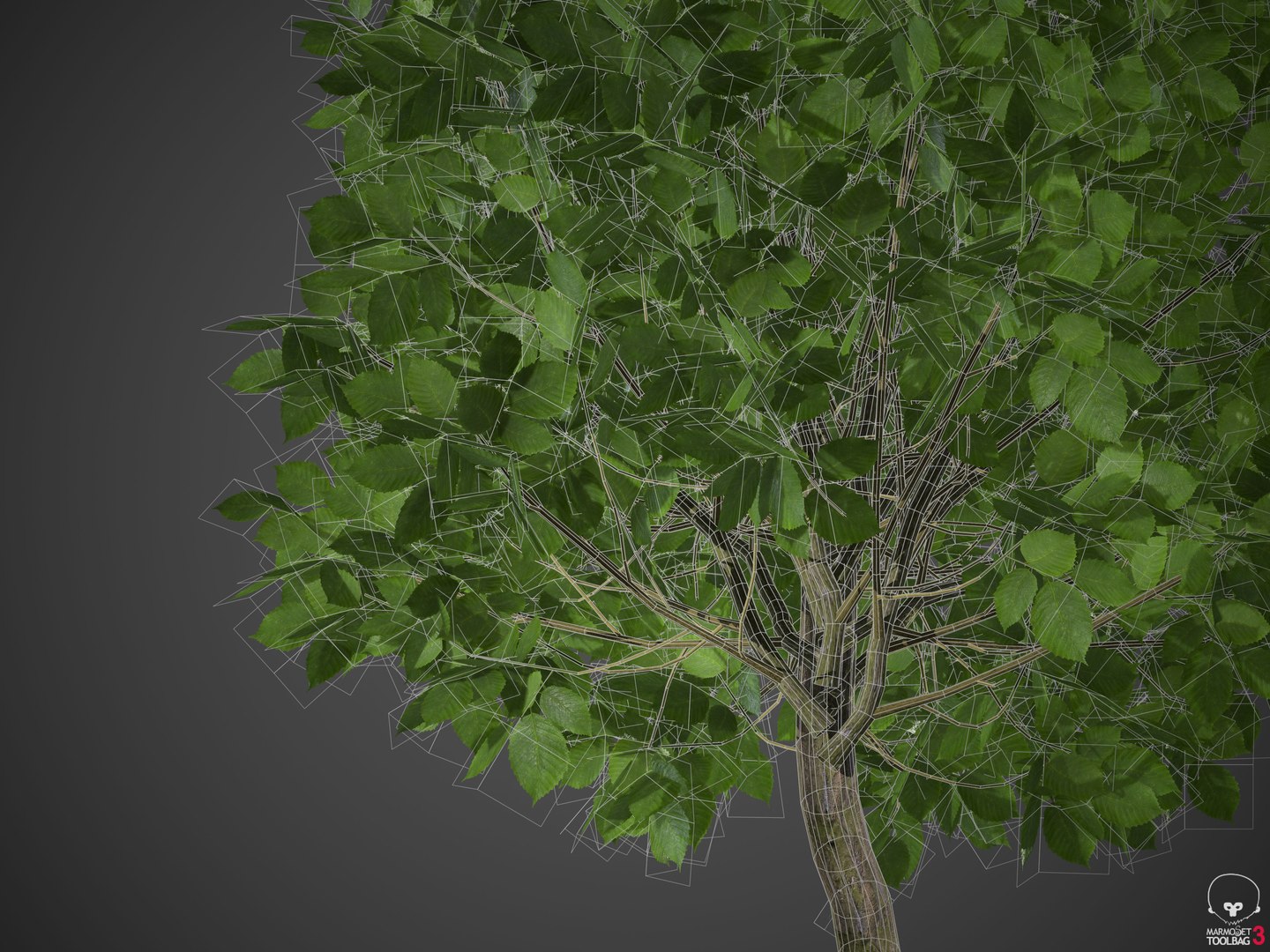 3D 2021 pbr landscaping library https://p.turbosquid.com/ts-thumb/zf/hnpxt1/i9/wireframe/jpg/1613178417/1920x1080/fit_q87/a03c08b24bc5b508184dd85ee1e9c0df9d7c7bb3/wireframe.jpg