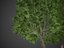 2021 PBR Landscaping Library