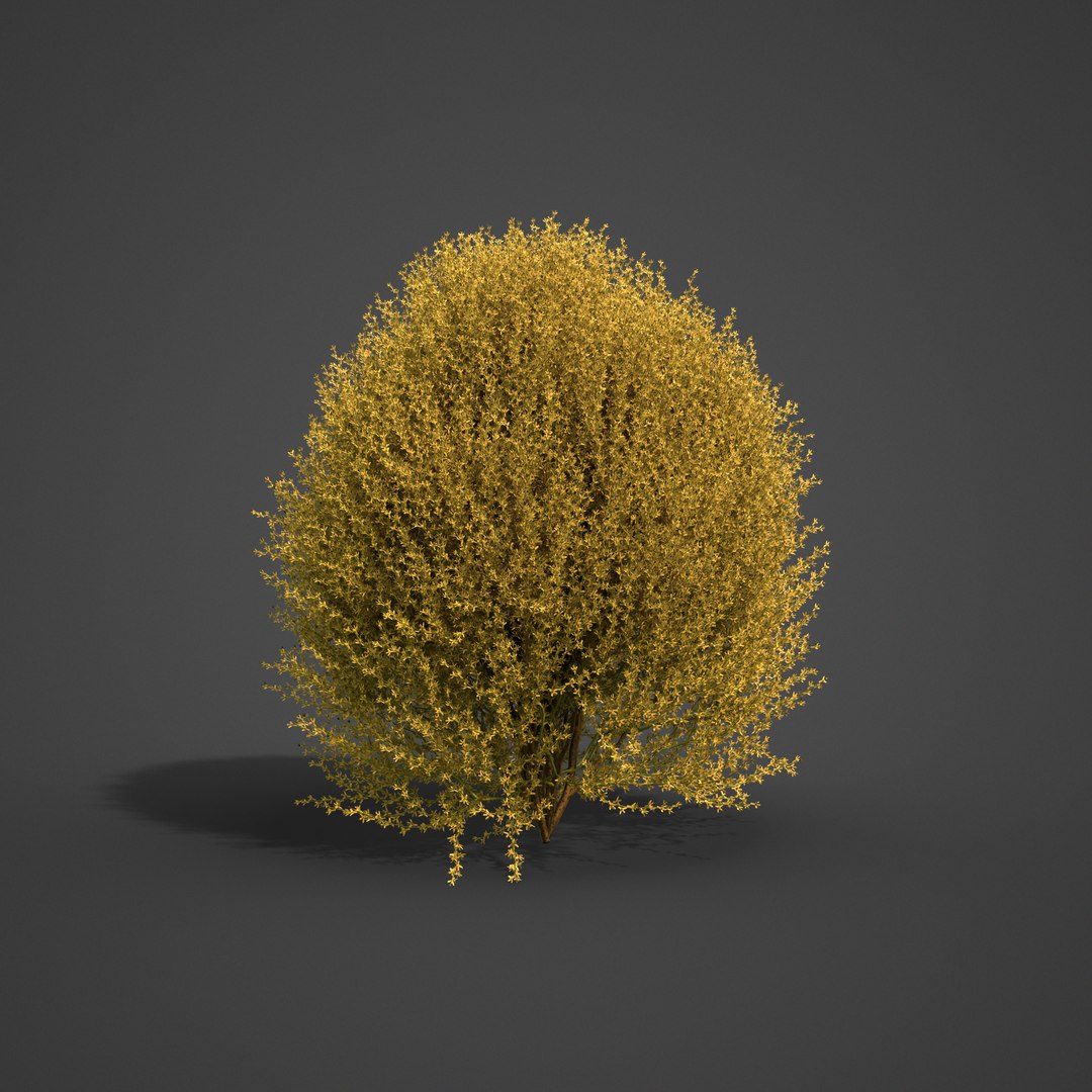 3D 2021 pbr landscaping library https://p.turbosquid.com/ts-thumb/zf/hnpxt1/j3/ls12_03/png/1613178210/1920x1080/fit_q87/52ead06716547204a45b7b037a90cb541a4f88f6/ls12_03.jpg