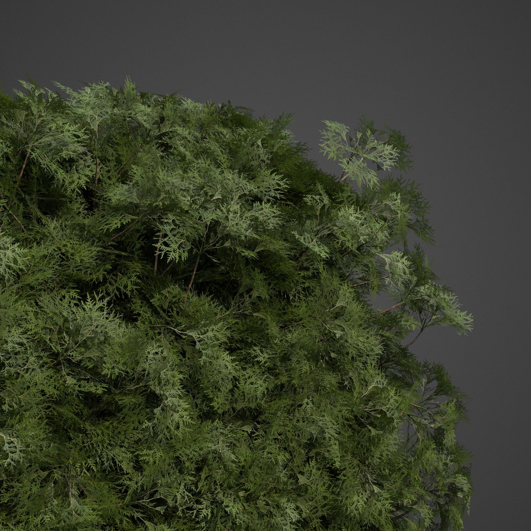 3D 2021 pbr landscaping library https://p.turbosquid.com/ts-thumb/zf/hnpxt1/sa/ls08_frontlit/jpg/1613178424/1920x1080/fit_q87/085bbcdef30e7eca5b70758aa53f9af78180bf83/ls08_frontlit.jpg