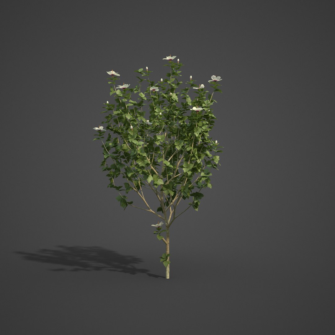 3D 2021 pbr landscaping library https://p.turbosquid.com/ts-thumb/zf/hnpxt1/yw/ls11_05/png/1613178149/1920x1080/fit_q87/0d4e7fb9b4bf0b8ea6aaa7611633240794250ce7/ls11_05.jpg