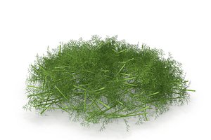 3D sprout salad vegetable model