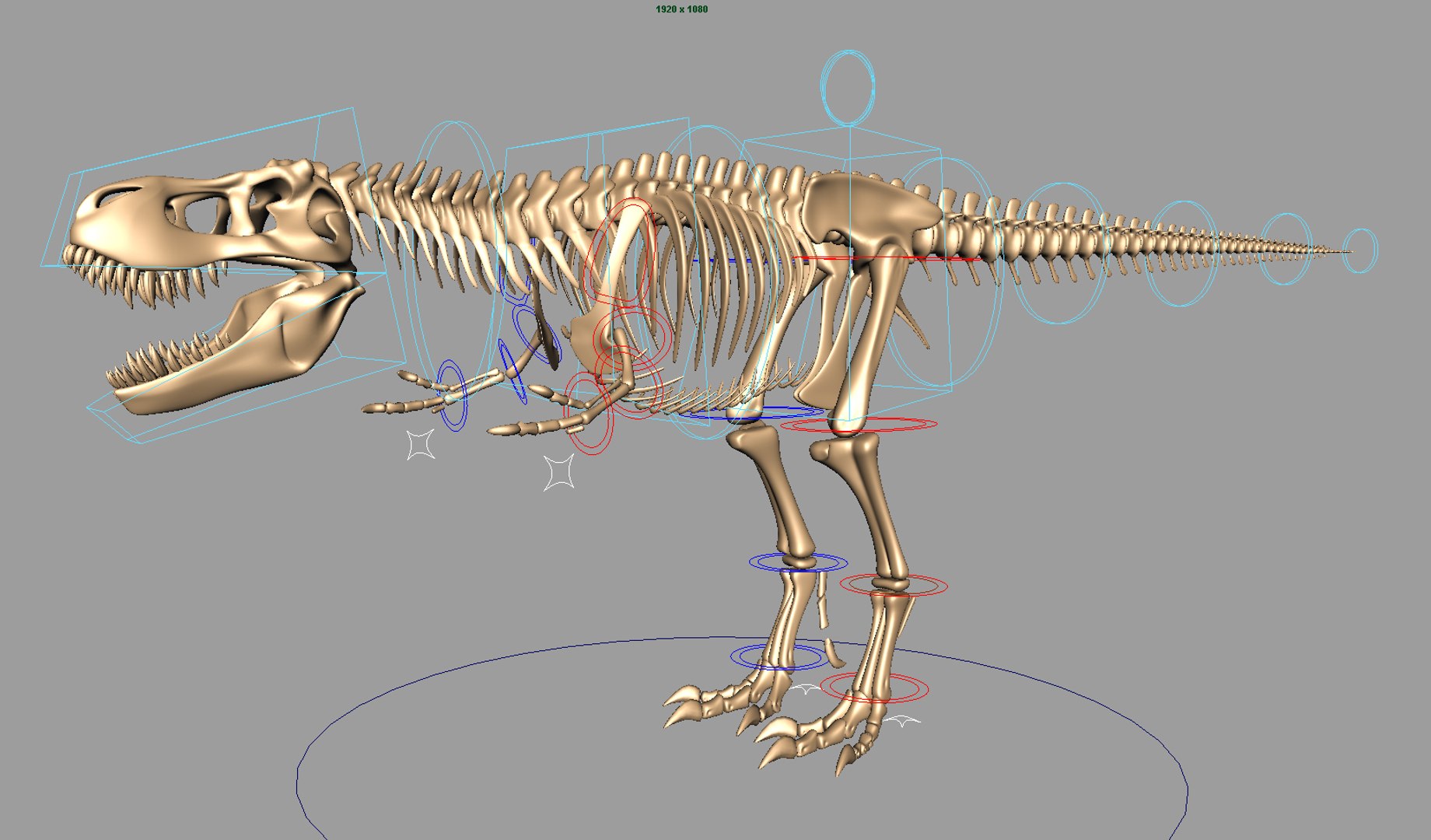 trex cycle