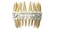 Denti umani con apparecchi dentali trasparenti autoleganti V03