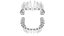 Denti umani con apparecchi dentali trasparenti autoleganti V03