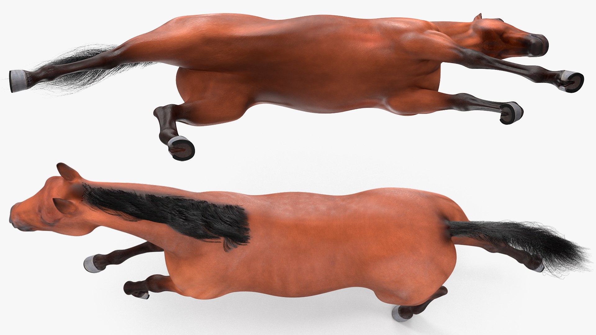 running bay horse racing 3D https://p.turbosquid.com/ts-thumb/zf/oeTQR9/2WP9OacC/runningbayhorsefur3dmodel008/jpg/1570325079/1920x1080/fit_q87/6d1210674c562c2cfe650fb0ff027b4a568d69d5/runningbayhorsefur3dmodel008.jpg