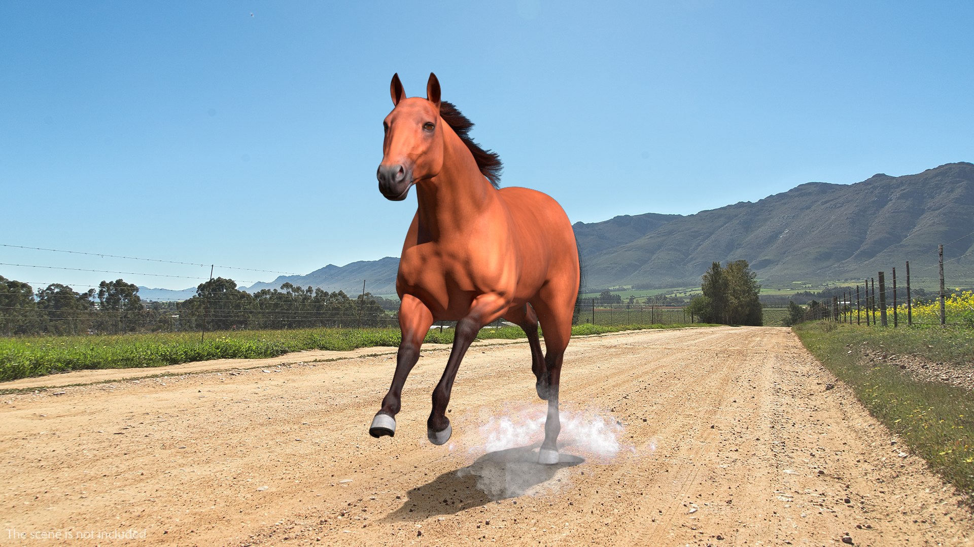 running bay horse racing 3D https://p.turbosquid.com/ts-thumb/zf/oeTQR9/D66q4E6y/runningbayhorsefur3dmodel002/jpg/1570325060/1920x1080/fit_q87/7b9c644fed9b3a5a6958d4a6d42cf9f8738b375a/runningbayhorsefur3dmodel002.jpg