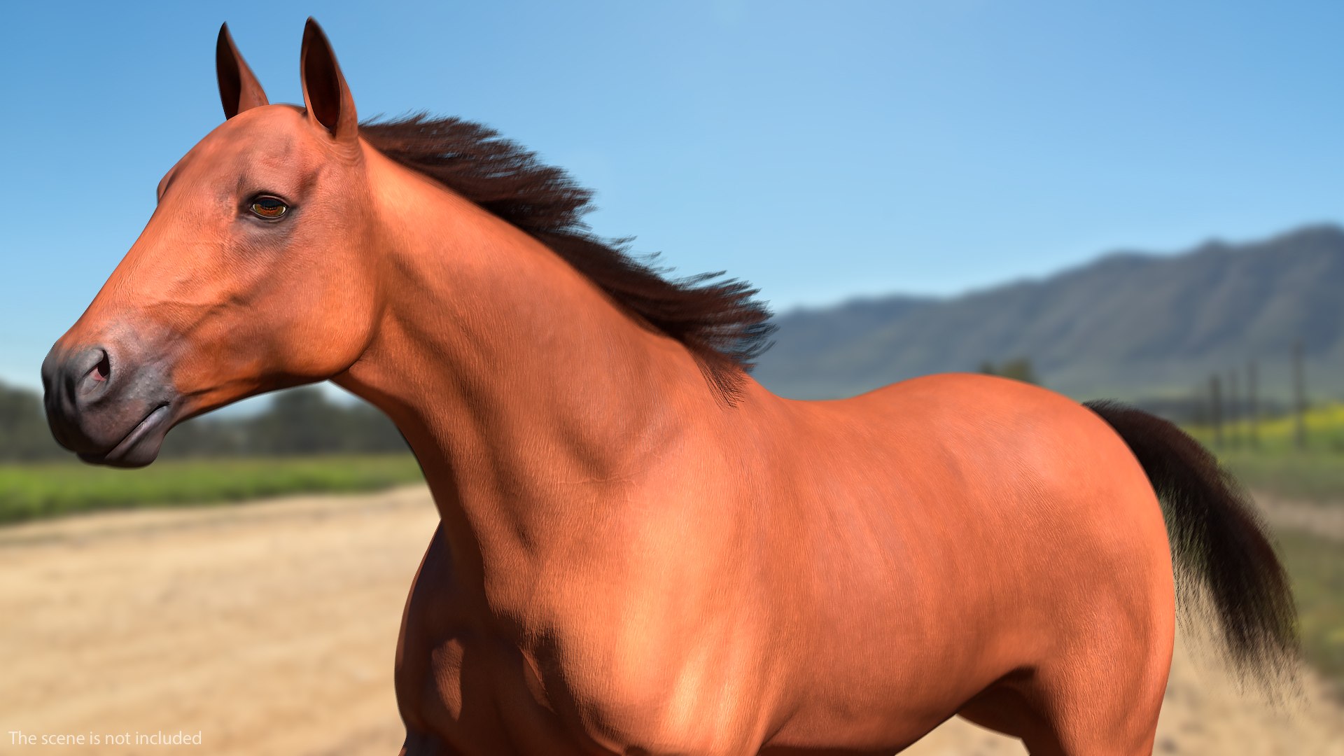 running bay horse racing 3D https://p.turbosquid.com/ts-thumb/zf/oeTQR9/DvnO6ph3/runningbayhorsefur3dmodel003/jpg/1570325063/1920x1080/fit_q87/a91e8a06fc42b13082de4f0bc2086a7a4c7e6ab0/runningbayhorsefur3dmodel003.jpg